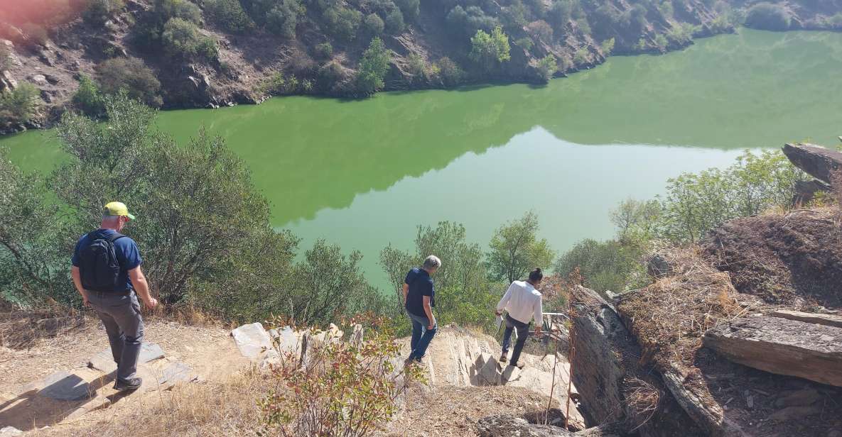 Foz Côa & Douro Private Tour: Rock Carvings and Superb Views - Prehistoric Rock Art Exploration