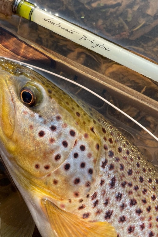 Freestone Guiding: Guided Flyfishing for Wild Brown Trout - Fishing Experience