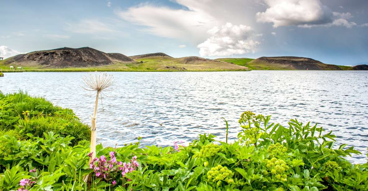 From Akureyri: Lake Mývatn Guided Tour With Lunch - Discovering Pseudo Craters