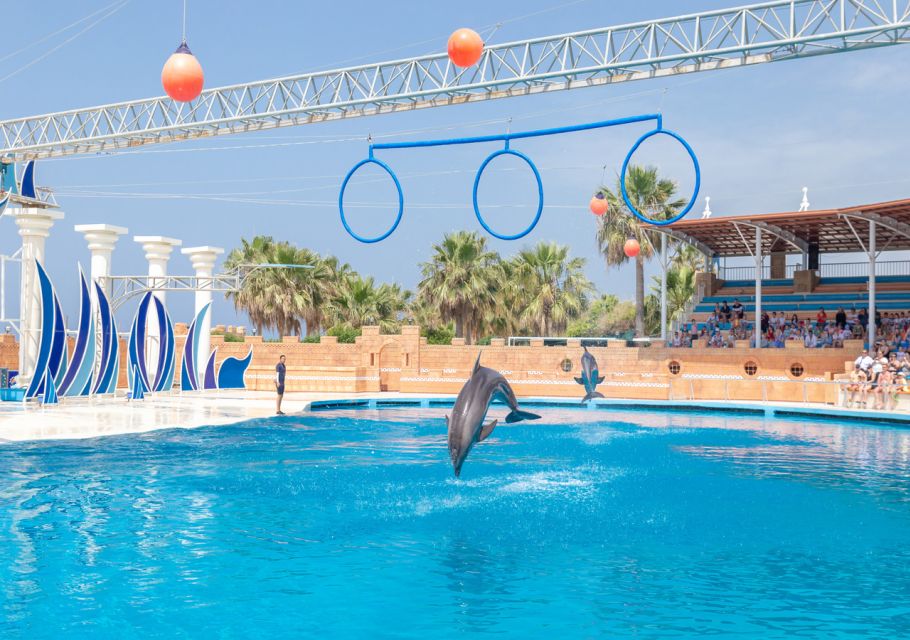 From City of Side/Alanya: Sealanya Dolphin Show W/ Transfers - Show Duration and Inclusions