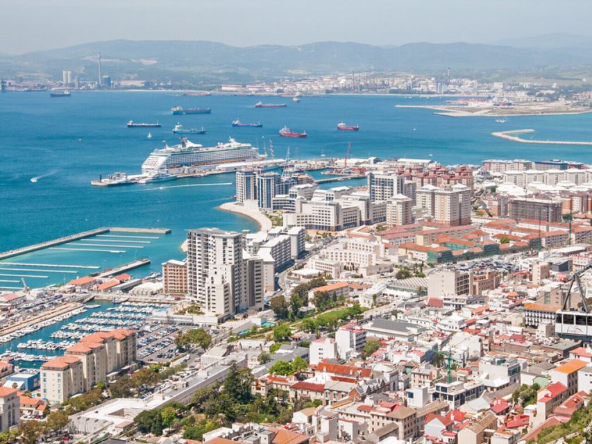 From Costa Del Sol: Gibraltar Dolphin Watching by Boat - Exploring Gibraltar