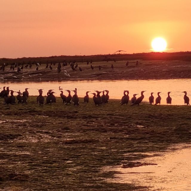 From Faro: Ria Formosa Islands Sunset Catamaran Cruise - Included and Meeting Point