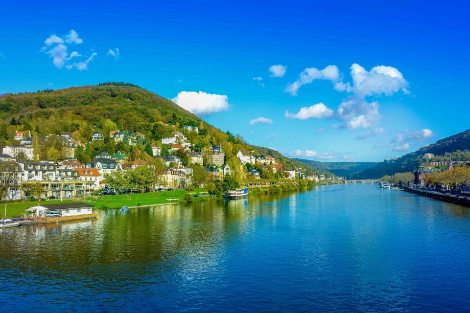 From Frankfurt: Rhine Valley Day Trip - Itinerary