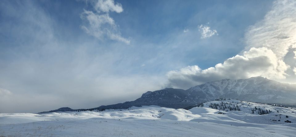 From Gardiner: Yellowstone National Park Snowshoe Tour - Exploring the Lamar Valley