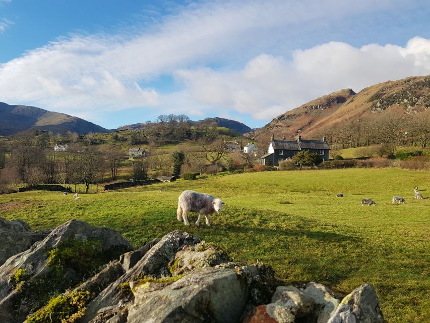 From Liverpool: Lake District Tour - Highlights of the Tour