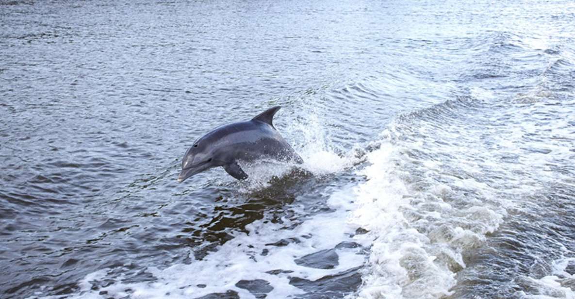 From Panama City, FL: Shell Island Ferry - Natural Wonders of Shell Island