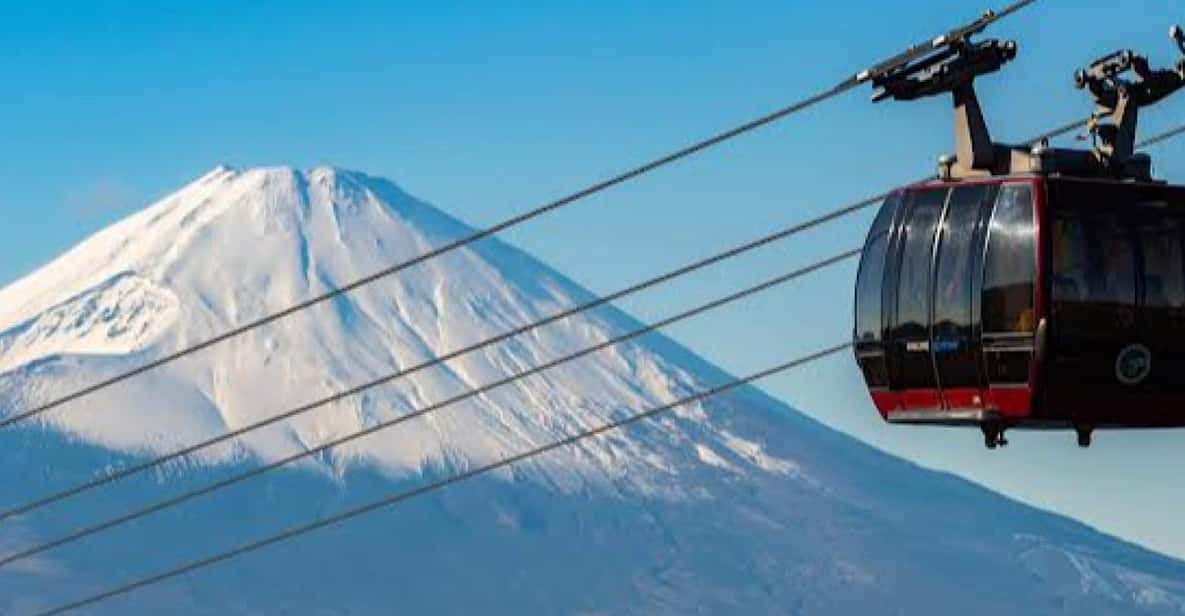 From Tokyo: Hakone, Lake Asahi & Oshino Hakkai Private Tour - Transportation and Comfort