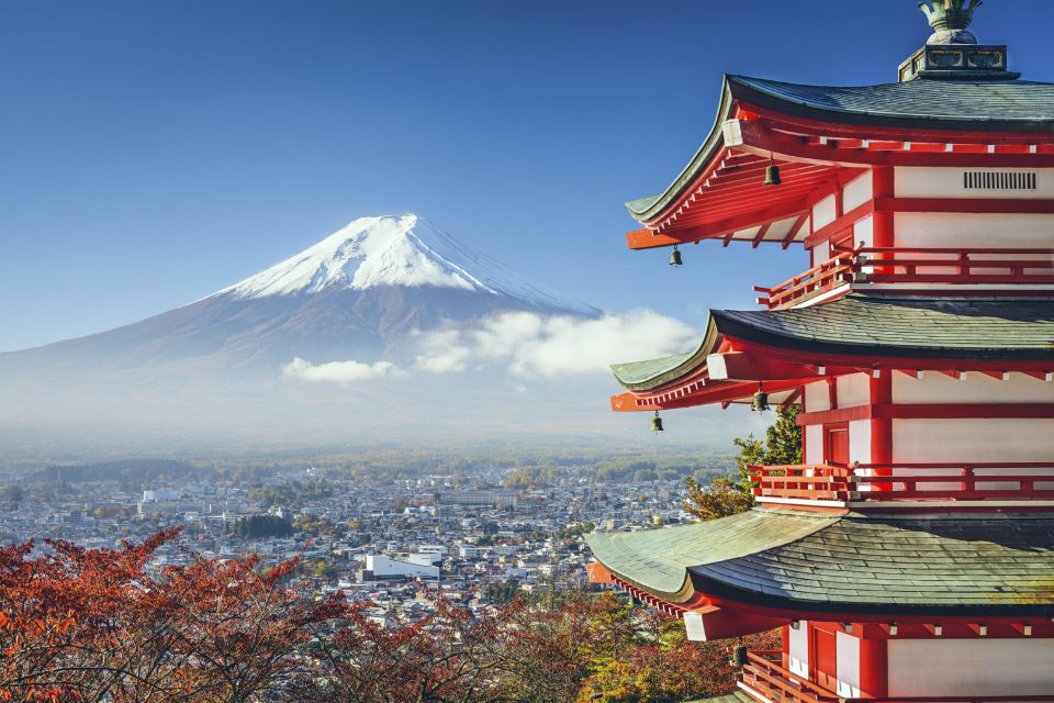 From Tokyo: Mount Fuji Private Day Tour - Transportation & Services