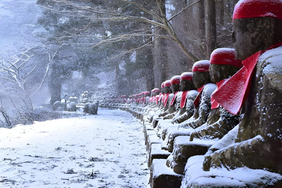 From Tokyo: Nikko Full-Day Private Sightseeing Day Trip - Transportation and Itinerary