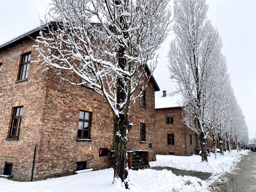 From Wrocław: Full-Day Auschwitz-Birkenau Guided Tour - Experience Highlights