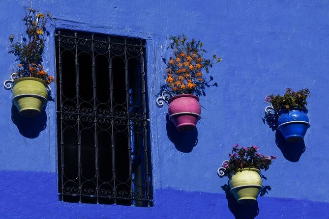 Full Day Experience to Chefchaouen From Fez With Local Expert - Independent Exploration