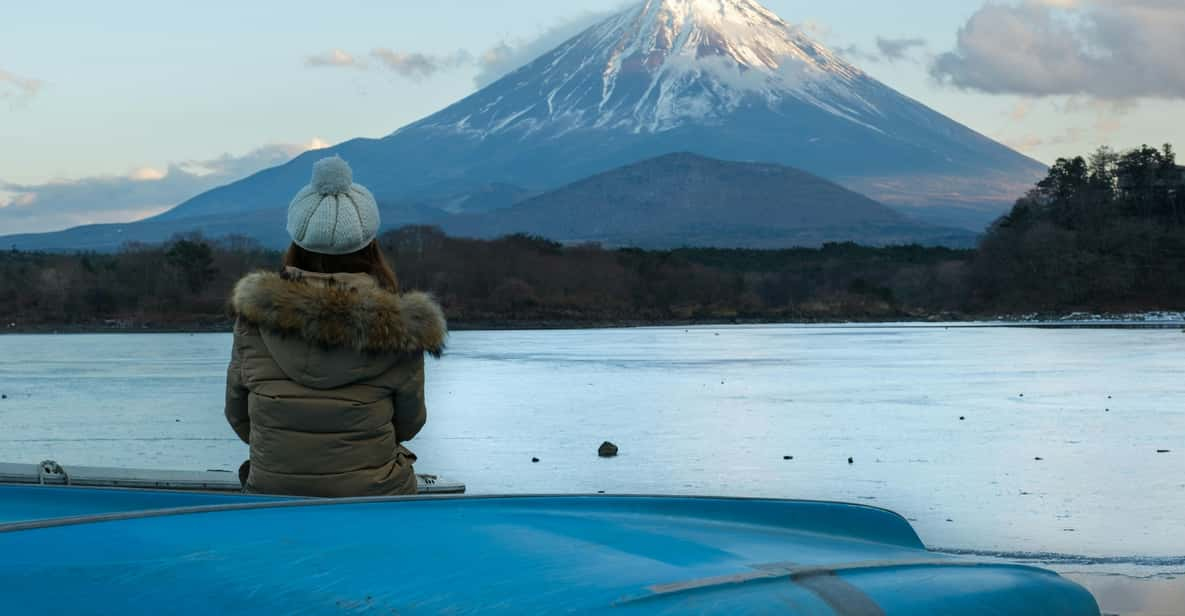 Full Day Mount Fuji Sightseeing Trip Review - Experience and Accessibility