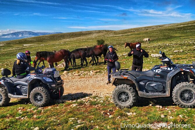 Full-Day Quad and Wild Horses Safari in Livno From Split - Participant Requirements