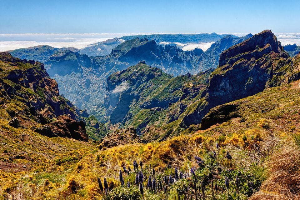 Funchal: East Madeira Island Guided Tour & Laurissilva Walk - Pico Do Arieiro