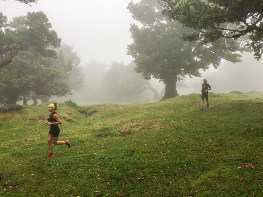 Funchal: Fanal Ancient Forest Running Tour - Included in the Tour