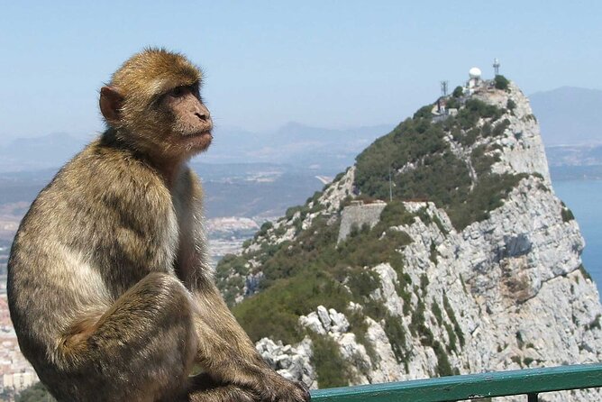 Gibraltar With St Michael Caves Guided Tour From Costa Del Sol - Discovering St. Michaels Cave