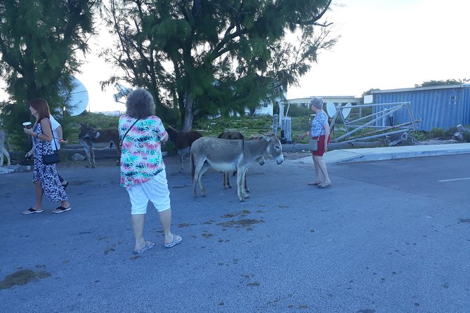 Grand Turk Island Wide Private Tour - Vendor Reliability Issues