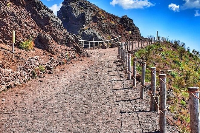 Guided Tour of Pompeii & Vesuvius With Lunch and Entrance Fees Included - Meeting Point and Pickup