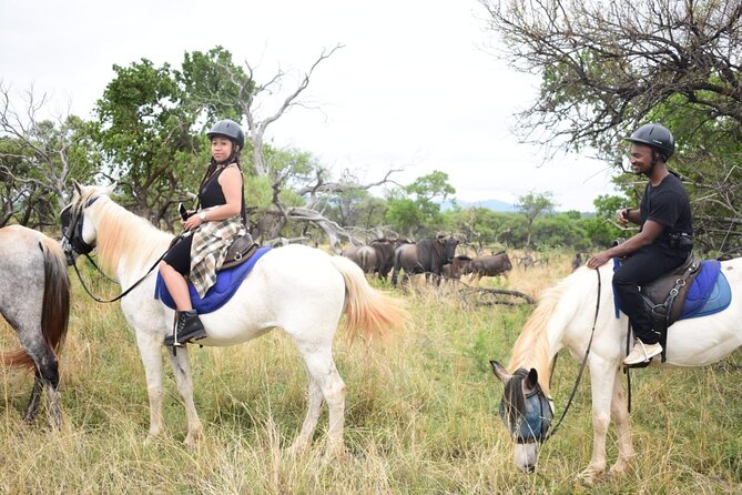 Harties Horse Trail Safari Half Day - Getting There