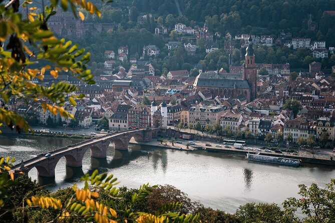 Heidelberg Like a Local: Customized Private Tour - Exclusions