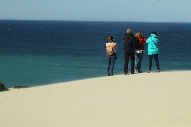 Hermanus Land Based Whale Walking Tour With Dave De Beer - Meeting and Pickup