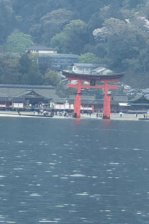 Hiroshima Miyajima Park Tour Review - Booking Information