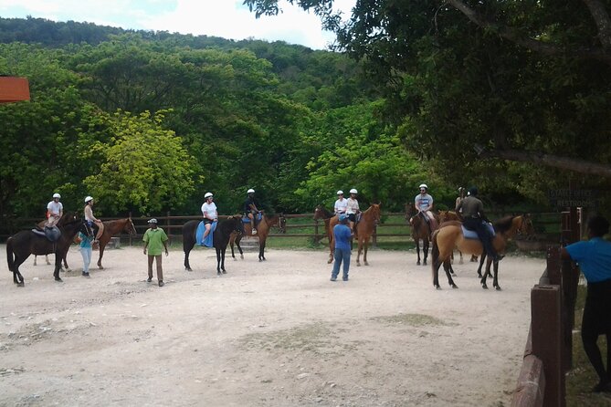 Horseback Riding Dunns River Falls Adventure From Montego Bay - Customer Reviews