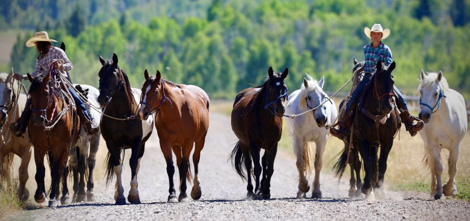 Jackson Hole: Moose Meadow Horseback Tour With Breakfast - Horseback Riding Techniques