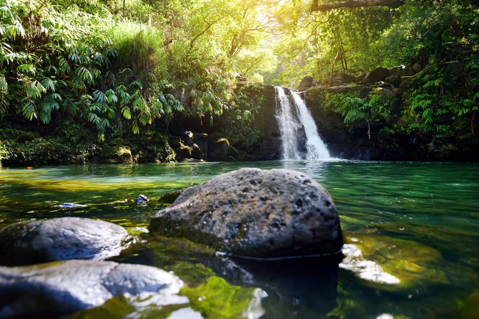 Kahului: Guided Rainforest and Waterfall Walk - Included Amenities