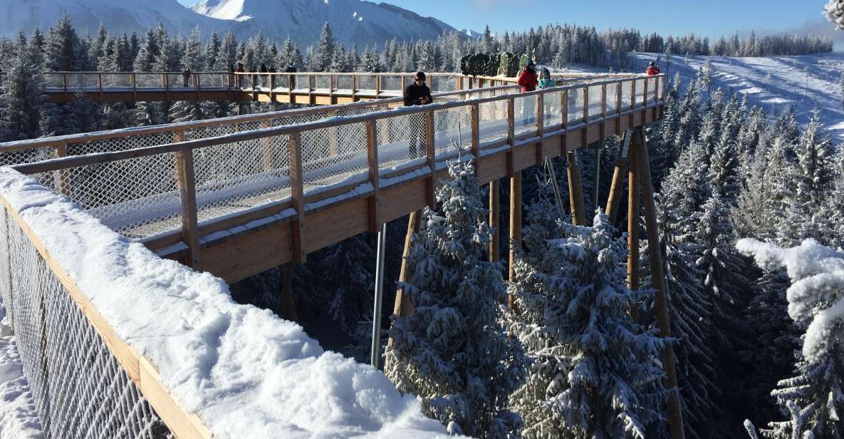 Krakow: Slovakia Treetop Walk & Zakopane With Hot Springs - Zdiar Treetop Walk