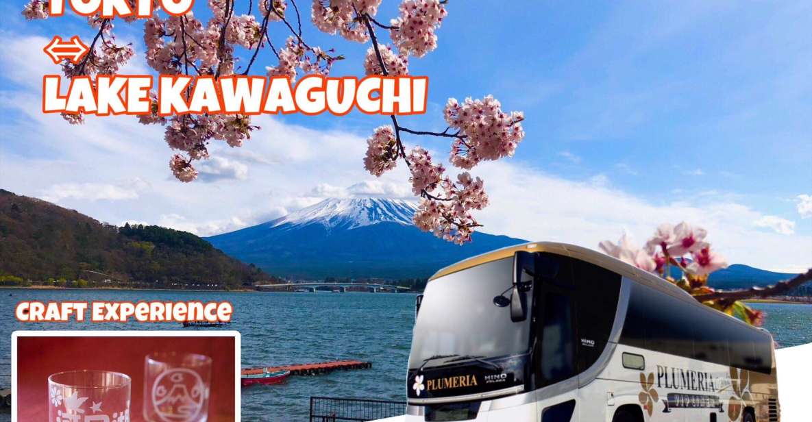 Lake Kawaguchi From Tokyo Express Bus Oneway/Roundway - Activities Included