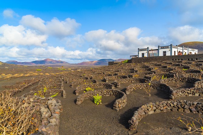 Lanzarote Volcano and Wine Region Tour From Fuerteventura - Not Included in the Tour