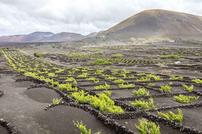 Lanzarote Volcanoes Tour Departing From Fuerteventura - Customer Service