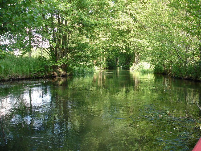 Leipzig: Riverside Forest Tour on the Pleisse - Exploring the Alluvial Forest