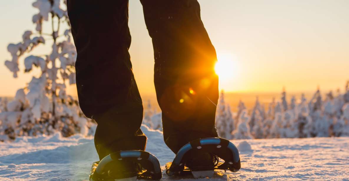 Levi: Scenic Levi Snowshoe Trip - Inclusions