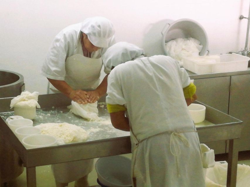 Lisbon Portugal Highest Mountain Cheese Factory Bread Museum - Visiting the Bread Museum