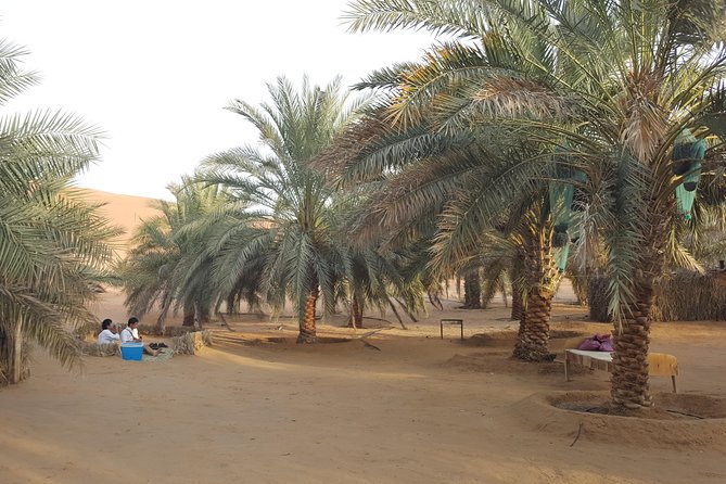 Liwa Oasis Desert Drive From Abu Dhabi - Spotting Native Wildlife in the Desert