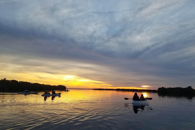 Mangrove Tunnels, Dolphins, Manatee Tour #1 Rated in Cocoa Beach - Accessibility and Meeting Points