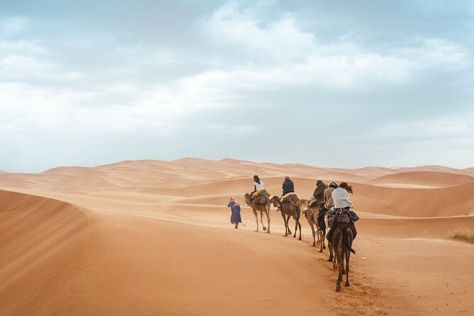 Marrakech to Merzouga 3 Days 2 Nights Sahara Desert Tour - Reviews