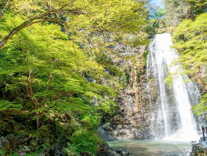 Minoo Park Guided Nature Walk Review - Tour Experience