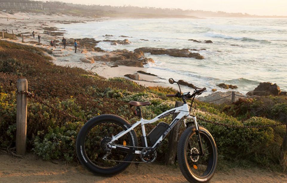 Monterey: 17-Mile Drive Guided E-Bike Tour - Tour Experience Highlights