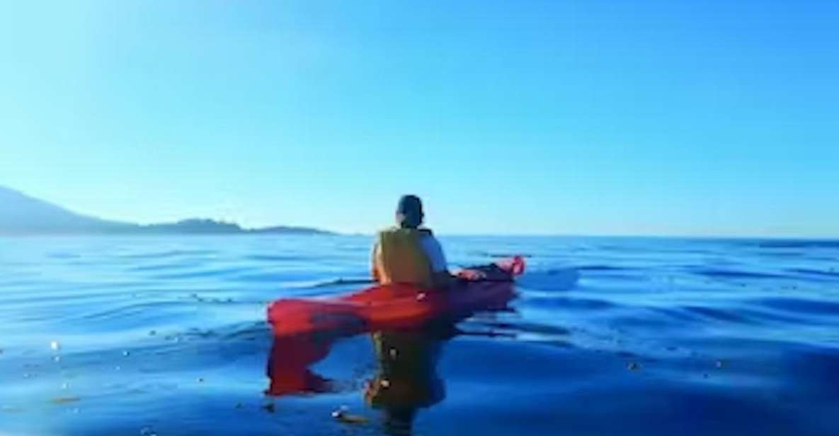 Monterey: Pebble Beach Kayak Tour - Inclusions