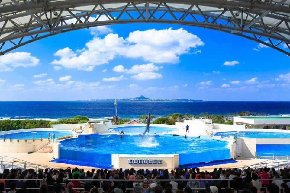 Motobu: Okinawa Churaumi Aquarium Entry E-ticket - Visitor Requirements and Entry Process