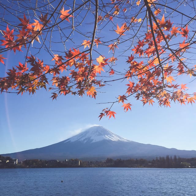 Mt Fuji: Full Day Private Tour From Tokyo by Luxury Vehicle - Customization and Experience