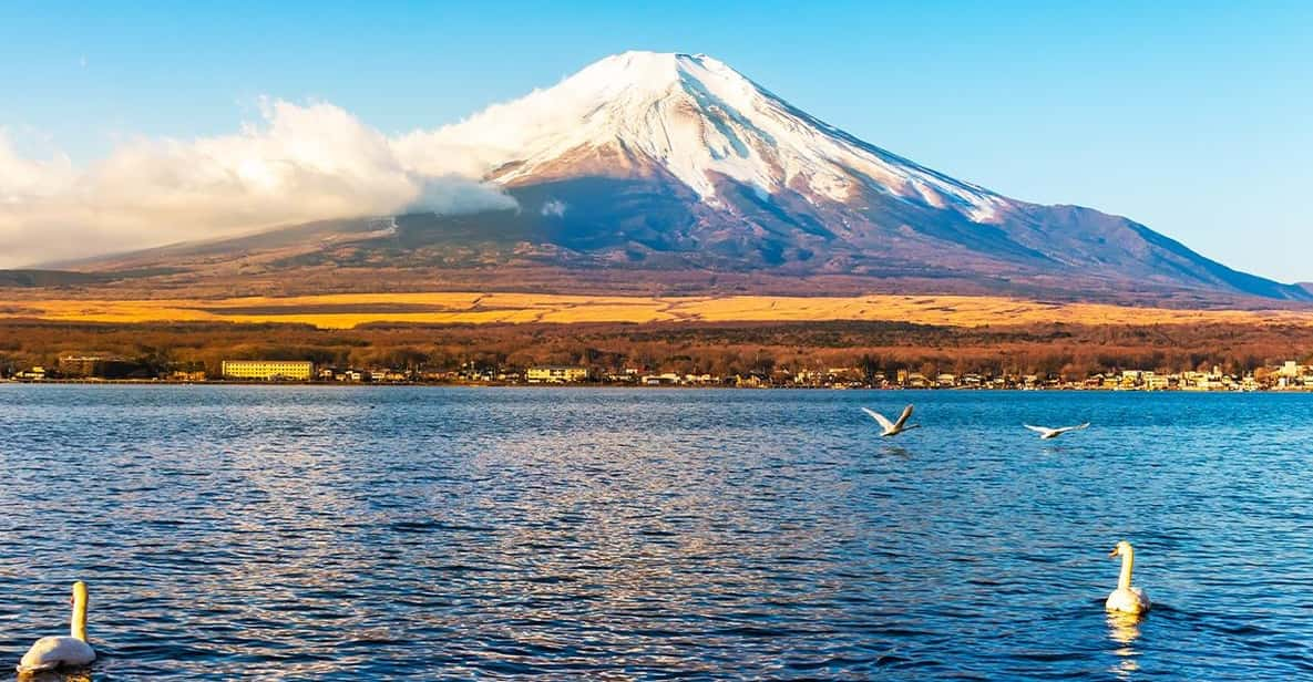 Mt.Fuji, Lake Kawaguchi &Yamanaka, Hot Spring Full-Day Tour - Scenic Experiences