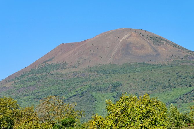 Mt Vesuvius Half-Day Trip From Naples - Tour Details