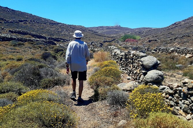 Mykonos Half-Day Hiking Adventure - Pricing and Reviews