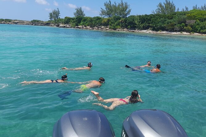 Nassau, Rose Island Private Swimming Pigs, Island Hopping Tour - Pricing and Cancellation