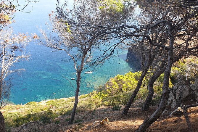 Naturalistic Excursion to Ustica - Accessibility and Policies