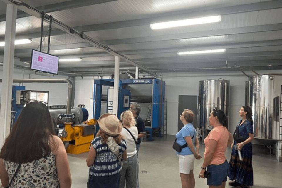 Olive Oil Factory From Sevilla Private Tour - Tasting the Flavorful Olive Oil